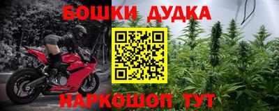 молекула духа Магадан