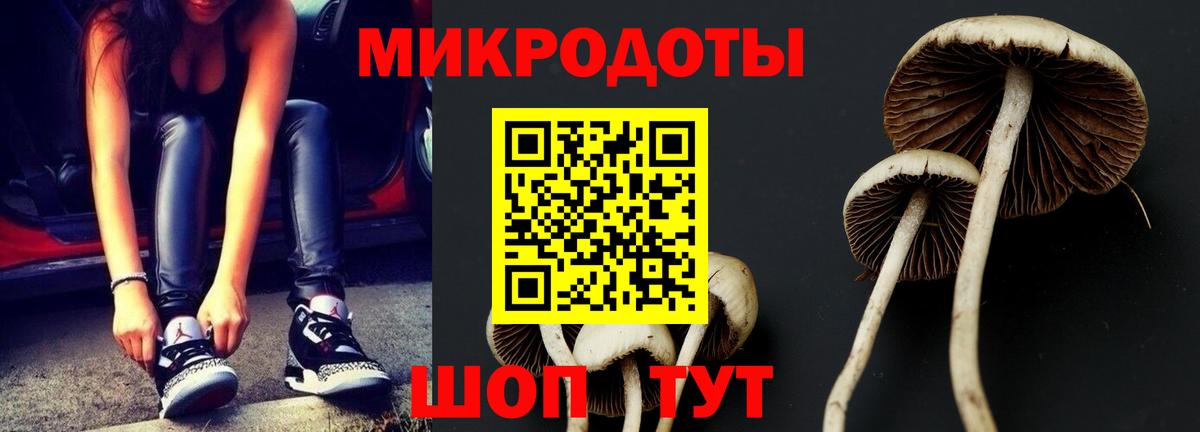 Галлюциногенные грибы Magic Shrooms  Псилоцибиновые грибы Psilocybine cubensis  Вход с VPN  Джанкой 